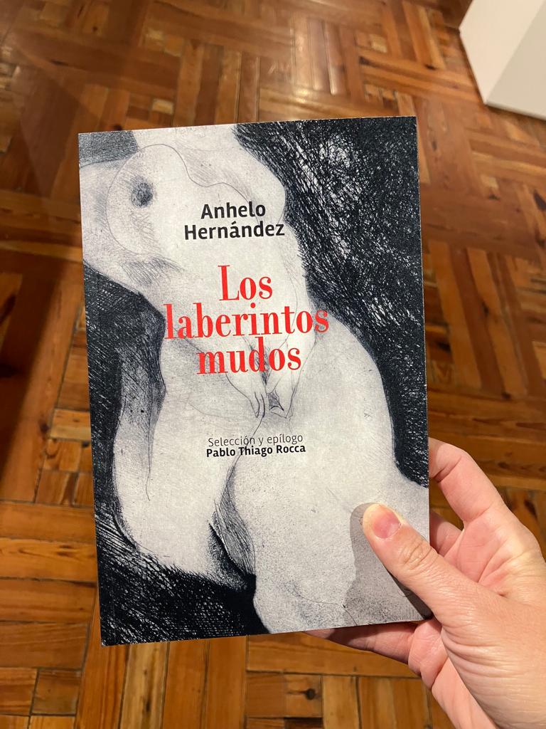 Imagen de portada del libro de Anhelo Hernández. "Los laberintos mudos" sostenido con una mano.