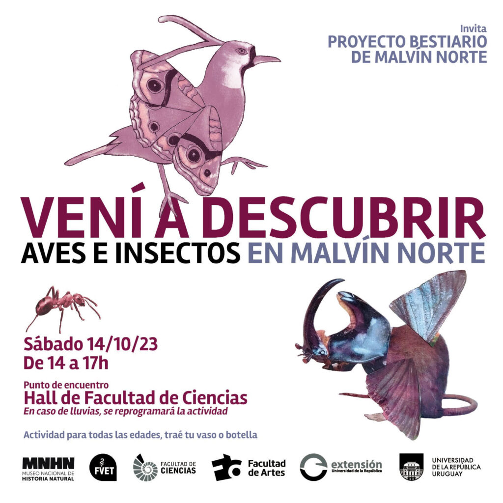 Afiche con imágenes de insectos y animales híbridos, como un tero con alas de mariposa, un cascarudo con alas y cuerpo de ratón.  Se puede leer el siguiente texto: Vení a descubrir aves e insectos en Malvín Norte. Invita Proyecto Bestiario de Malvín Norte. Sábado 14 de octubre de 2023, de 14 a 17 horas. Punto de encuentro Hall de Facultad de Ciencias. En caso de lluvias se reprogramará la actividad. Actividad para todas las edades, traé tu vaso o botella. Logos Facultades de Veterinaria, Ciencias, Artes, Extensión universitaria y Udelar y el logo del Museo Nacional de Historia Natural. 