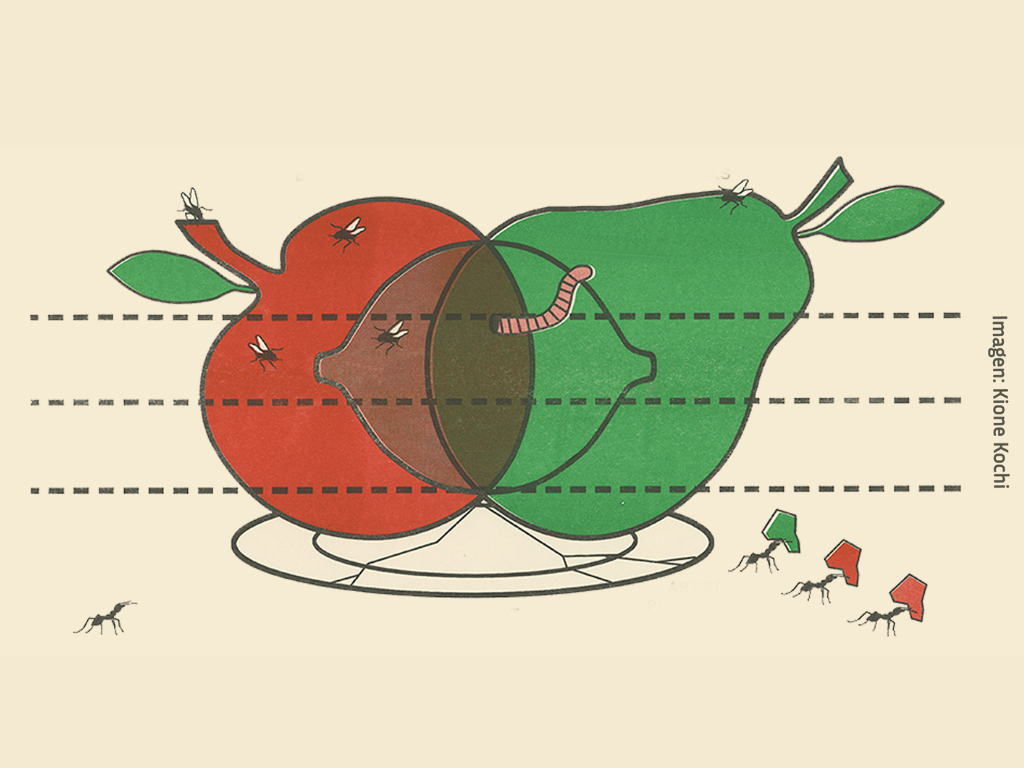 Cursos cortos de primavera del Taller López de la Torre